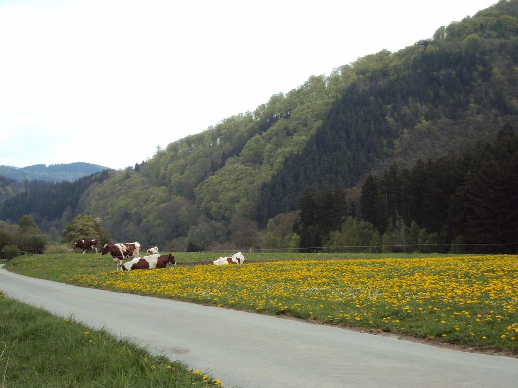 Gasthof Zum Diemeltal Марсберг Екстериор снимка