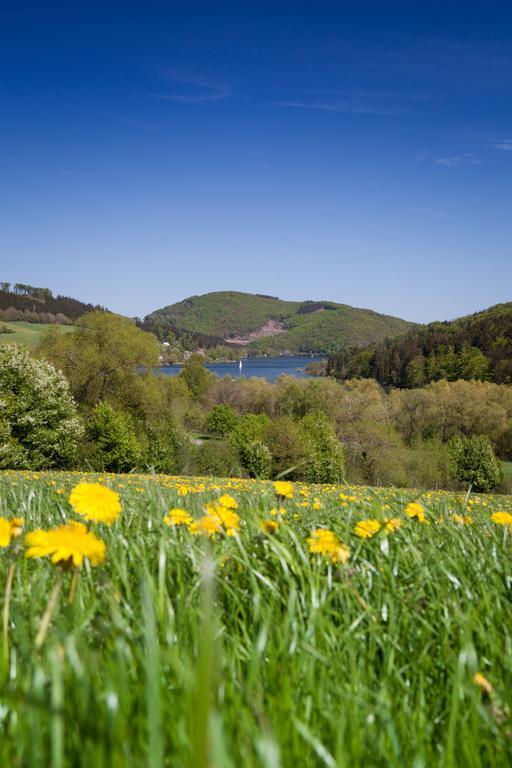 Gasthof Zum Diemeltal Марсберг Екстериор снимка
